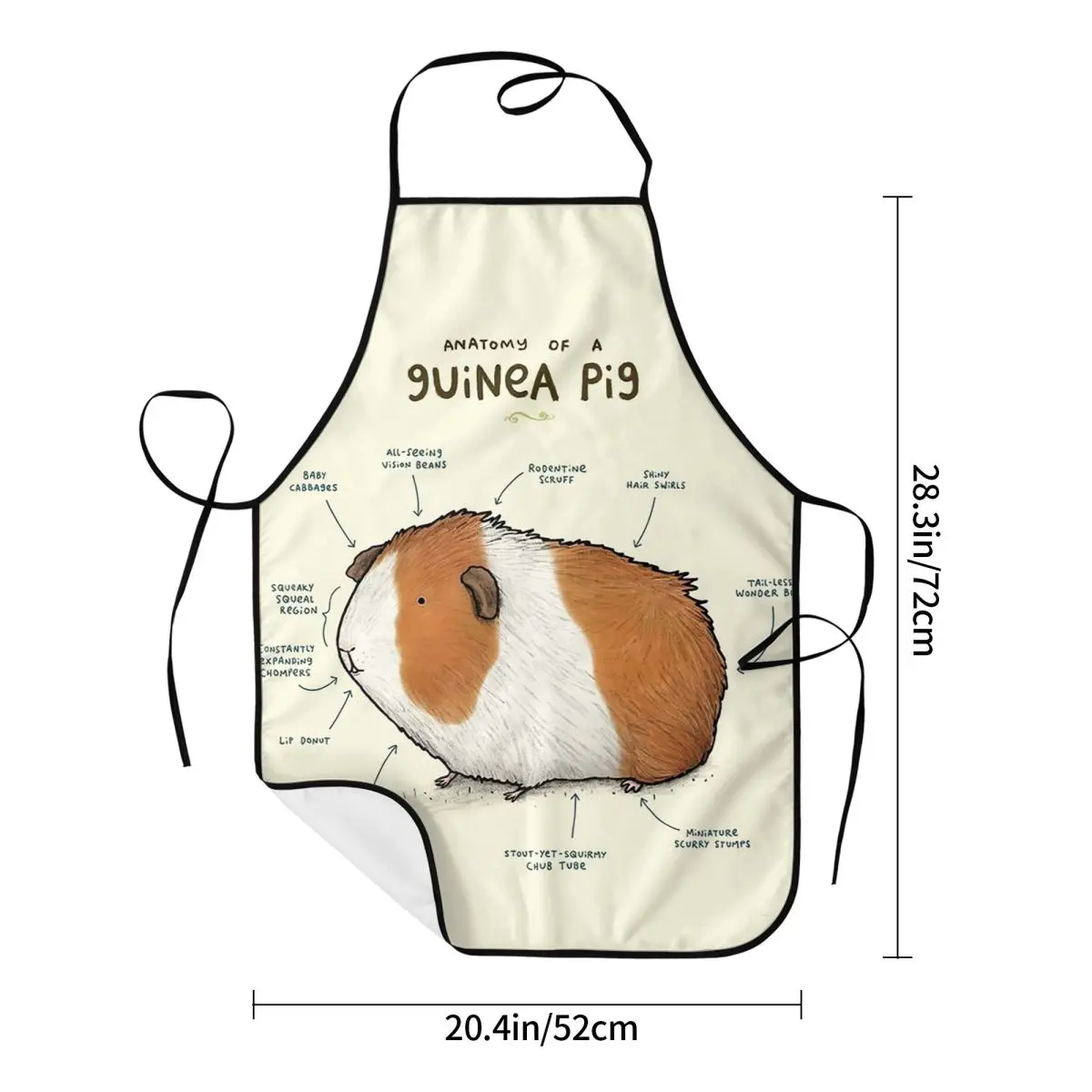 Anatomy Of A Guinea Pig Aprons Chef Cooking Baking Tablier Sleeveless Bib Kitchen Cleaning Pinafore for Women Men Painting