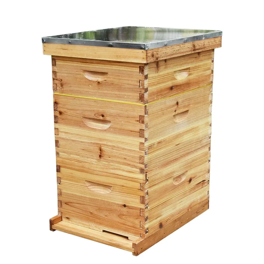 

Beekeeping Supplies Wooden Beehive Bee Hive Langstroth Beehive