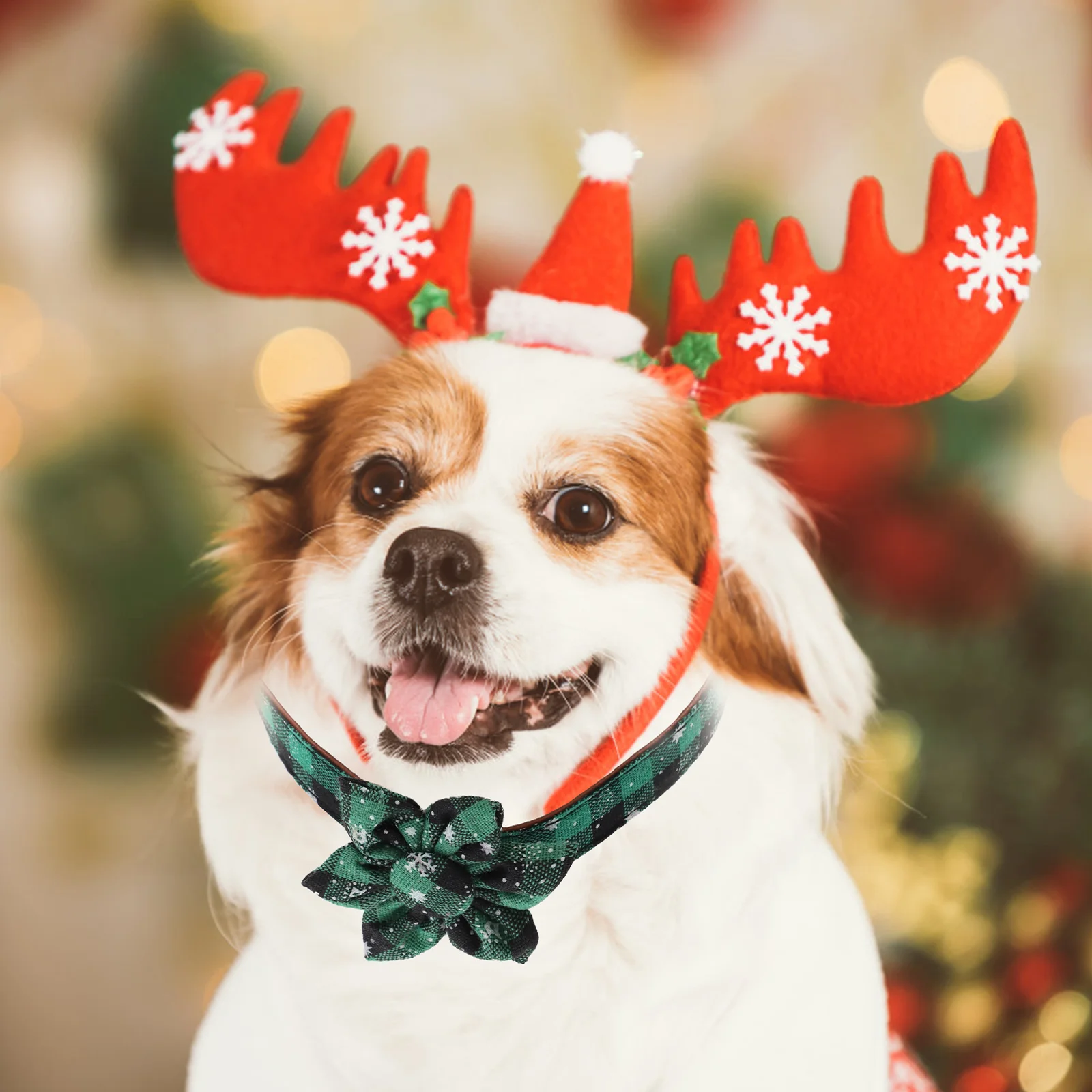 

Dog Collar Holiday Small Pet Chain Ring for Puppies Female Adjustable Green Collars Party