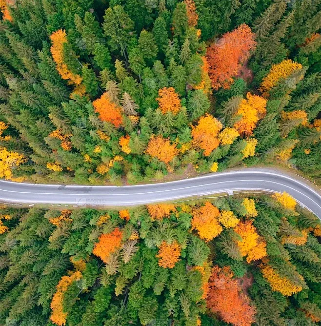 

12428 12423 Upgrade Accessories Kit for Feiyue FY03 WLtoys 12428 12423 1/12 RC Buggy Car Parts 4.5