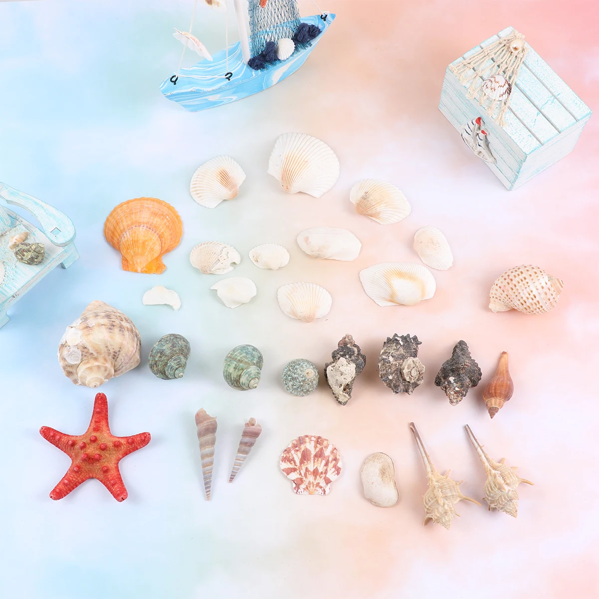 

350g Conch Shells Sea Shells Perfect for Wedding Birthday Housewarming Party Decoration Shell Ornaments