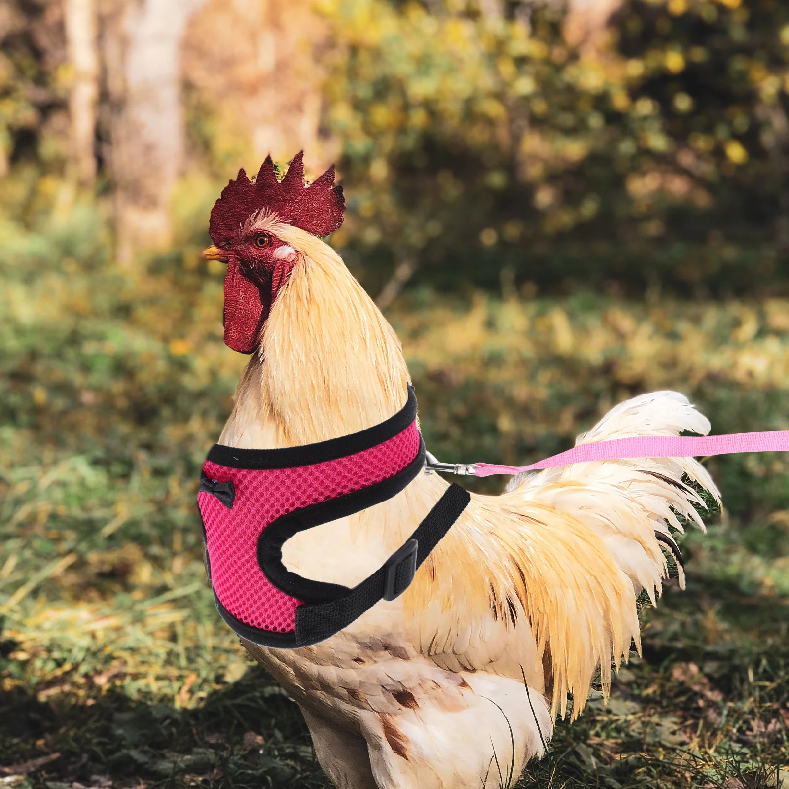 

Chicken Harness Hen Vest For Rooster Pet Outdoor Training Walking Halloween Christmas Easter Carnival Decor Durable Traction