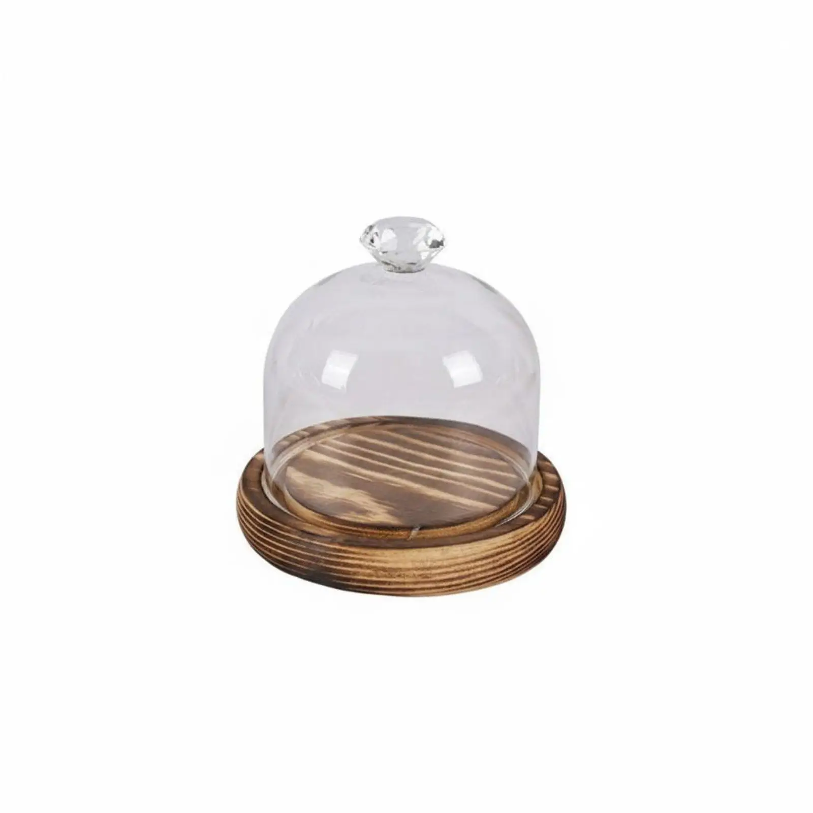 Dried Botanical Glass Cover Dustproof Decorative Display Cloche Handmade Glass