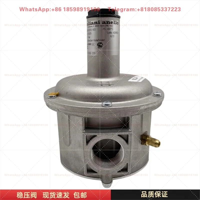 FG1B20 FG1B25 FG1B32 Gas Pressure Regulator With Built-in Filter Natural Gas Stabilizing Valve