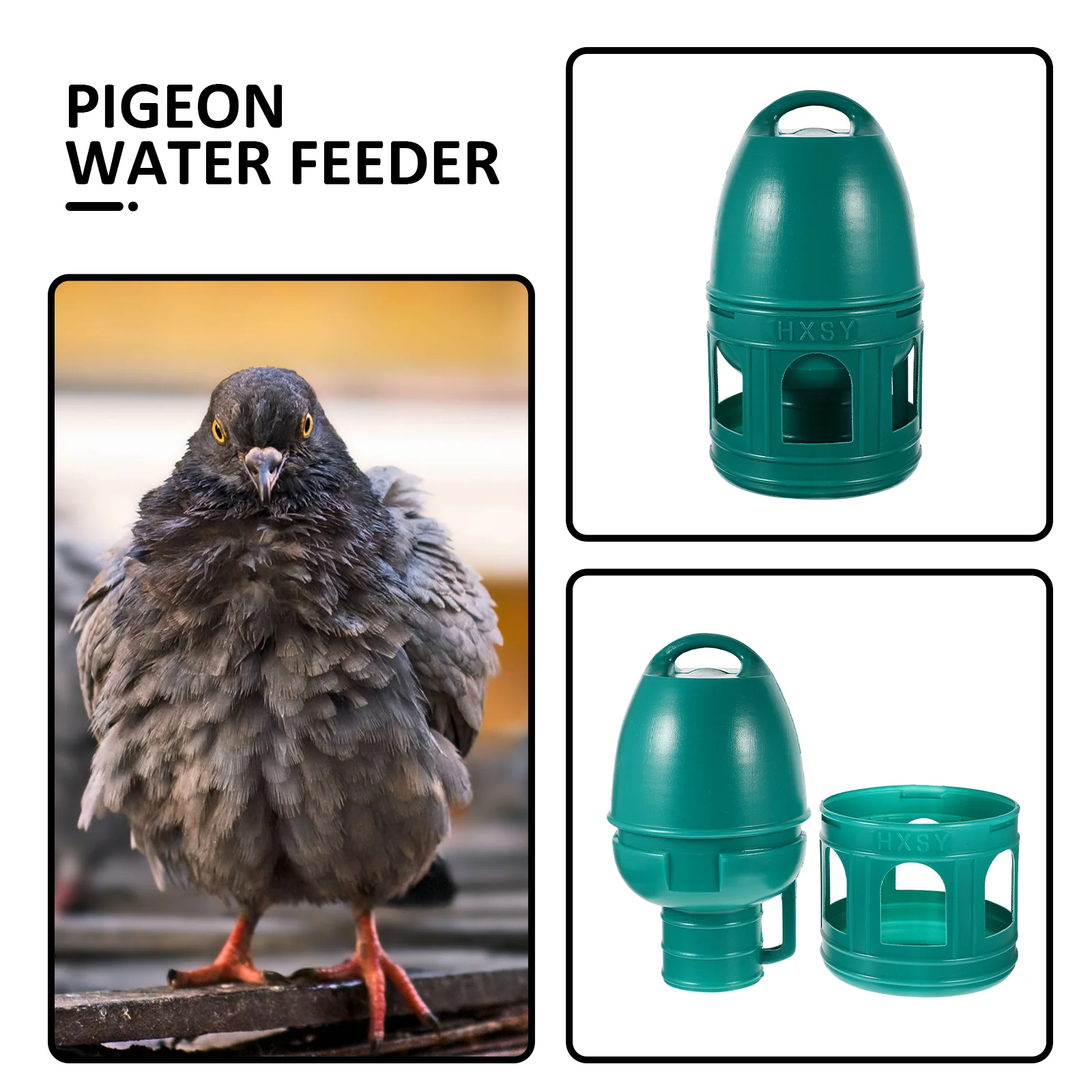 Water Bottle Pigeon Drinking Fountain Pet Household Bird Accessories Feeder Plastic Water Bottle