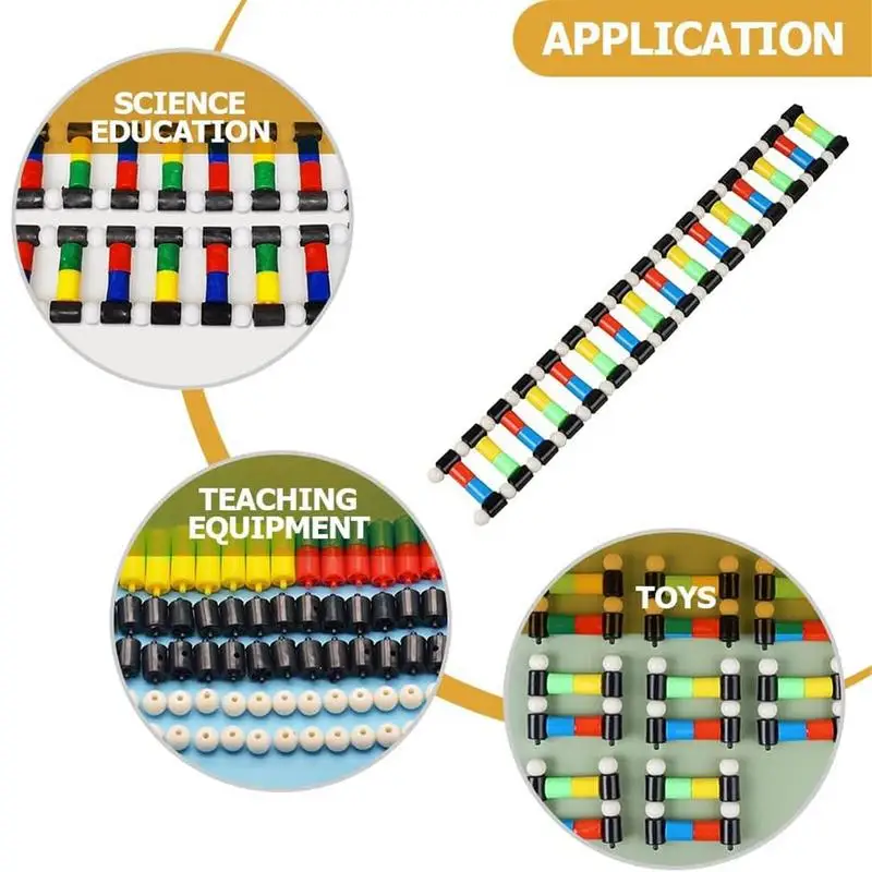 Modèle d'ADN à Structure Double Helix pour Enfant, Jouet d'ApprentiCumbria Interactif, Décoration de Salle, Irritation Biologique