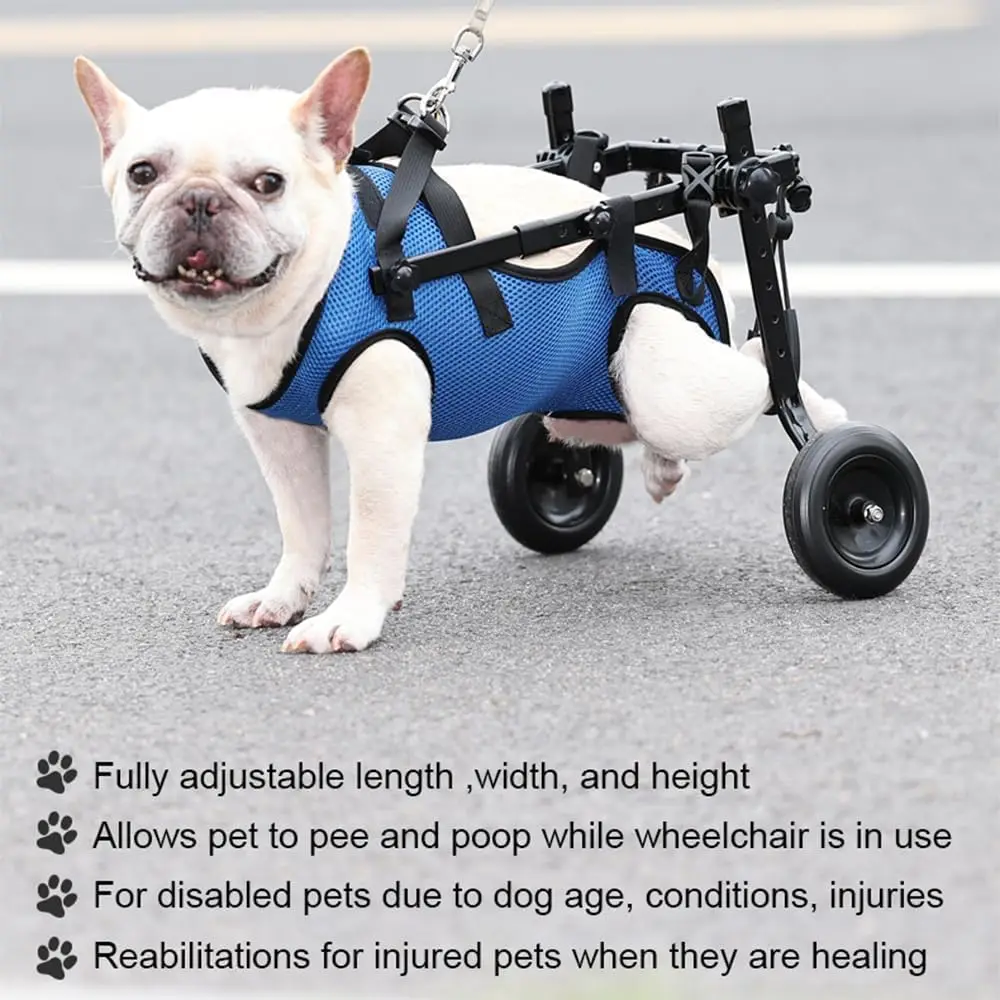 Support Mobility Aid for Disabled Pets for Small Dogs Adjustable Small Dog Wheel chair with Plastic Leg Brace Hip view 4