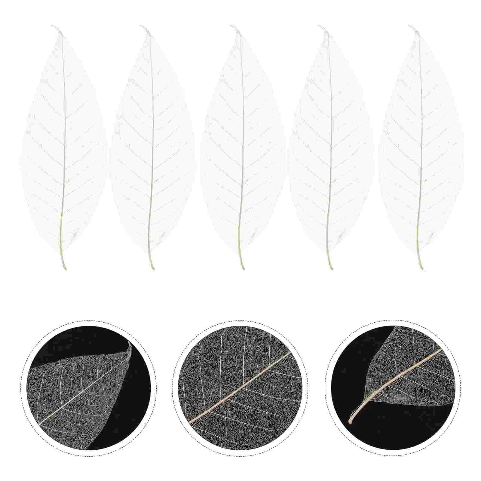 100 Pcs Bathroom Decorations Magnolia Leaf Specimen Leaves for Craft Project Dried Bookmark Accessory Outdoor Tree