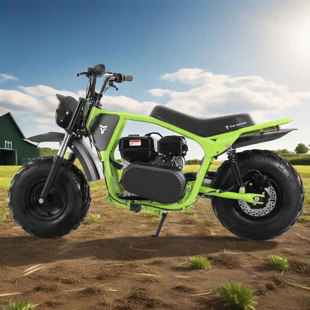 Tao Motor 2025 New Steel Off-Road Frame Fat Tire Motorcycle 200cc Dirt Bike