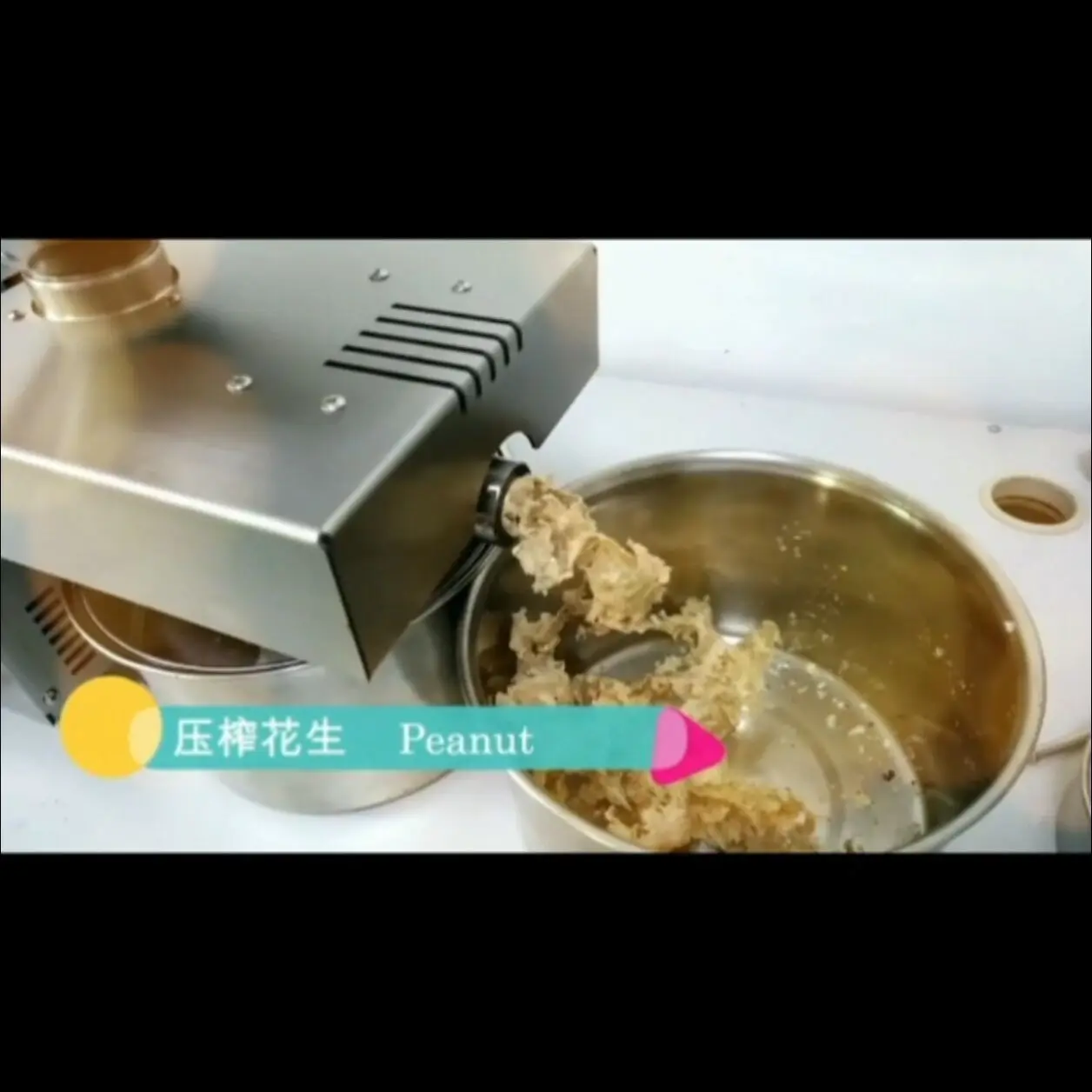 Automatic Oil Press Effective Household Stainless Steel Hot Cold Oil Extraction Machine Temperature Control