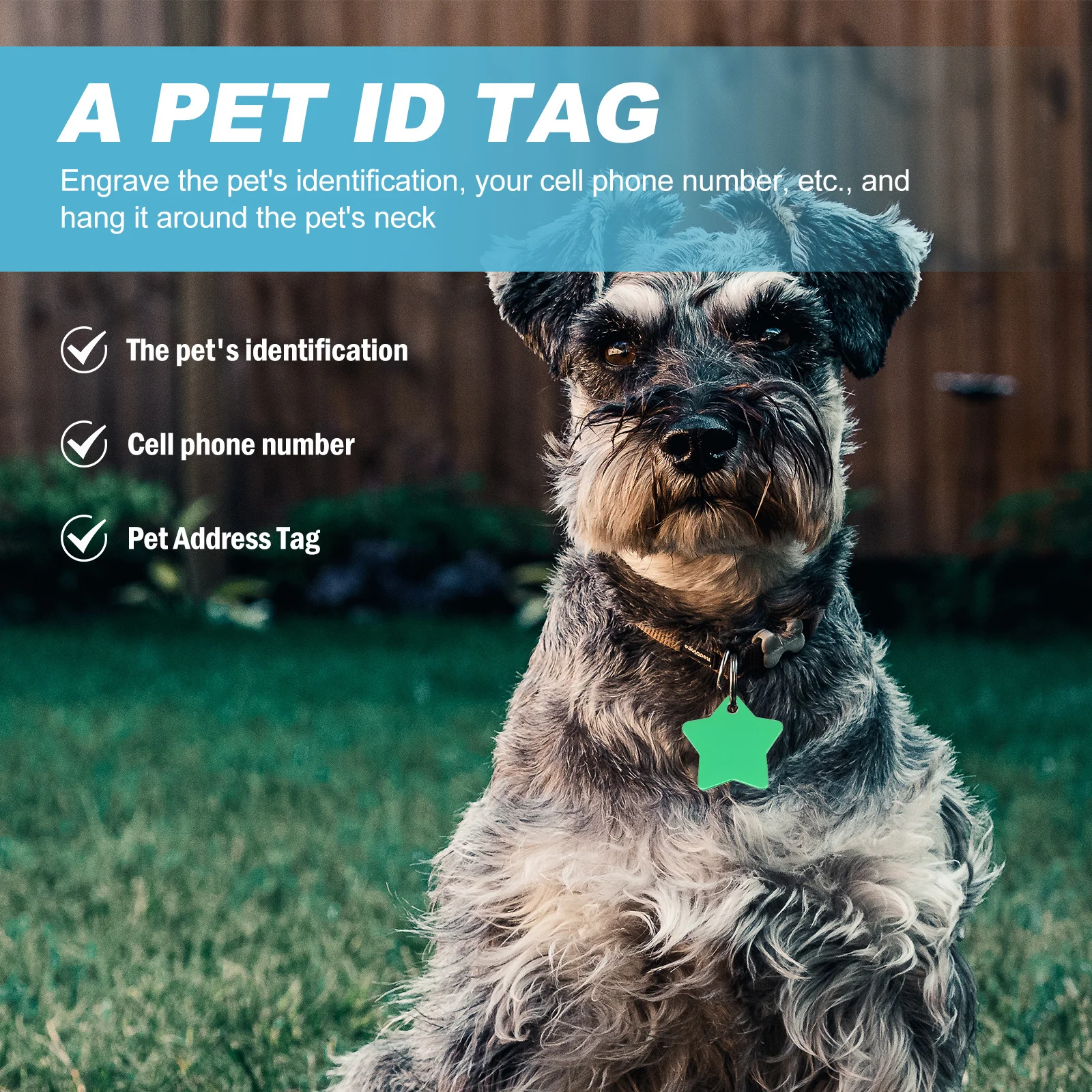 

10Pcs Pet Collar Tags Durable Star Shape Multi Use Dog Cat Id Tag Personalized Phone Number Engraved Hanging Pendant