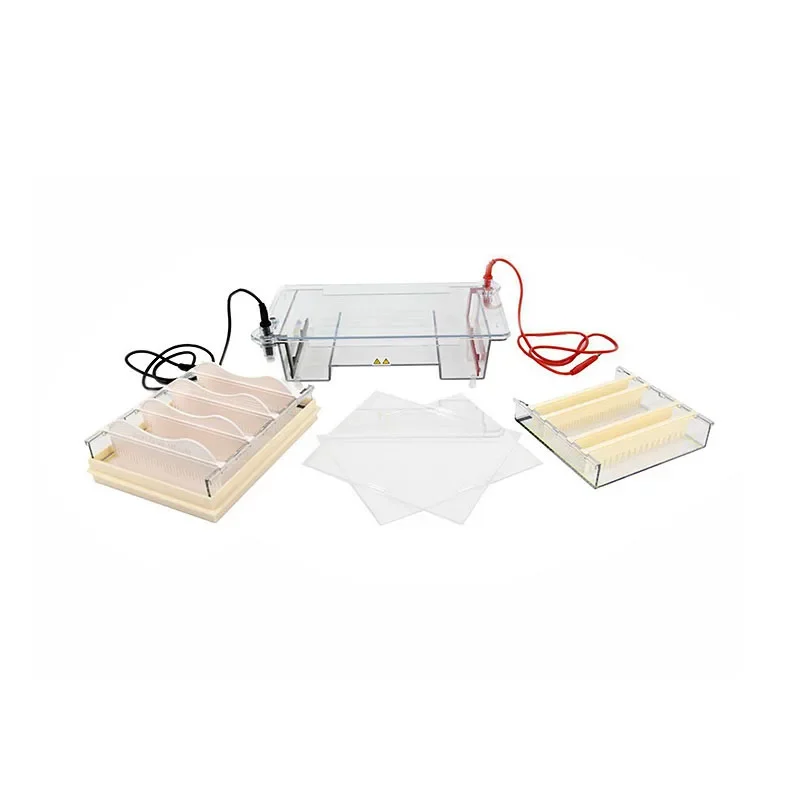 Nucleic Acid Horizontal Electrophoresis Cell Middle Agarose Electrophoresis Apparatus DYCP-31E For DNA Prepare Separate Identify