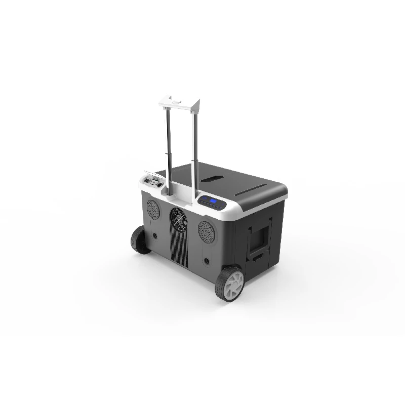 Professional 36L Portable Mini Car Fridge Freezer Compressor Cooler 12V 24V for Home SUV Truck Camping Parts