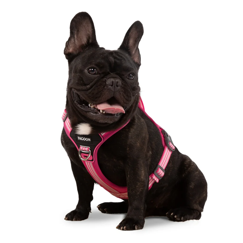 Starkes Hundeweste-Geschirr mit Griff, reflektierend, kein Ziehen, Brustgurte für Haustiere für kleine große Hunde, Outdoor-Walking-Trainingszubehör – Detail 8