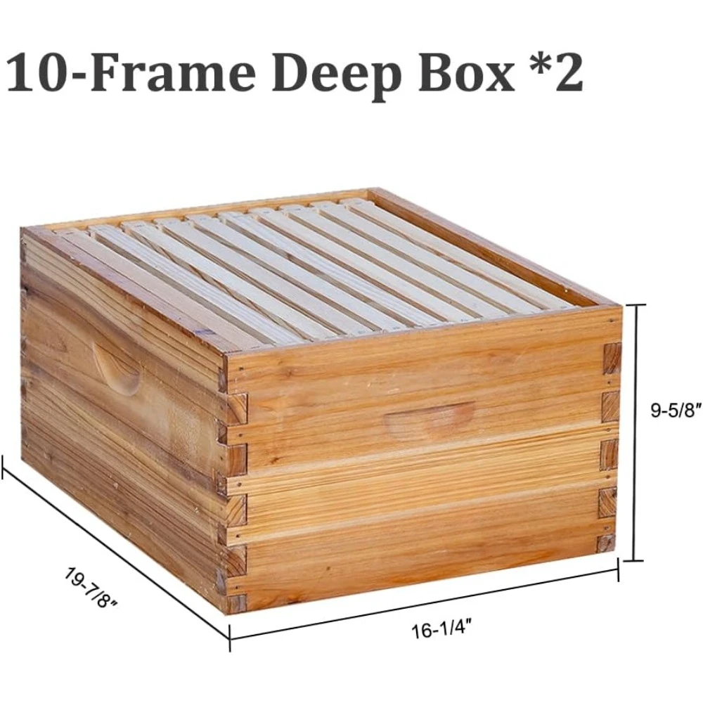 10 Frame Bee Hive Coated with 100% Beeswax includes Beehive Frames and Waxed Foundations (2 Deep Boxes & 1 Medium Box)