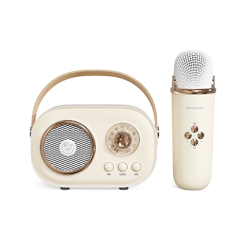 C20 PLUS Mini Wireless BT Audio Home Singing Karaoke Integrated Microphone Speaker Stereo Home KTV Set Handsfree Call