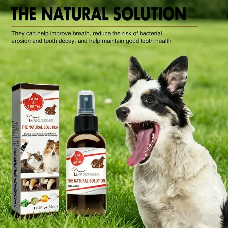 Hunde- und Katzen-Zahnsteinentferner Mundpflegespray Ohne Bürsten Erfrischender Atem Natürliche Zahnpflege-Spray für Hunde und Katzen