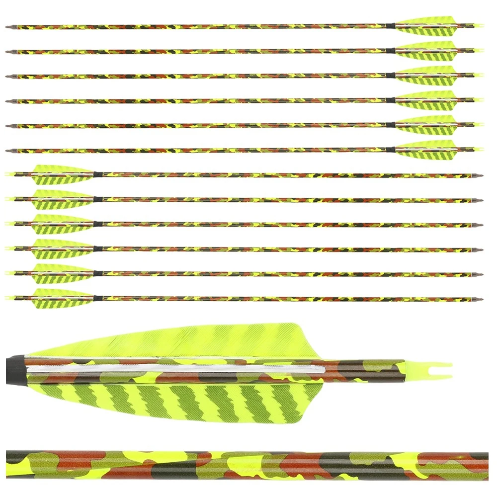 

6/12PCS SP500 Carbon Arrow 4 Inch Feather Vanes 6.2mm Inner Diameter 100gr Arrow Tips for Bow Hunting Target Shooting Game