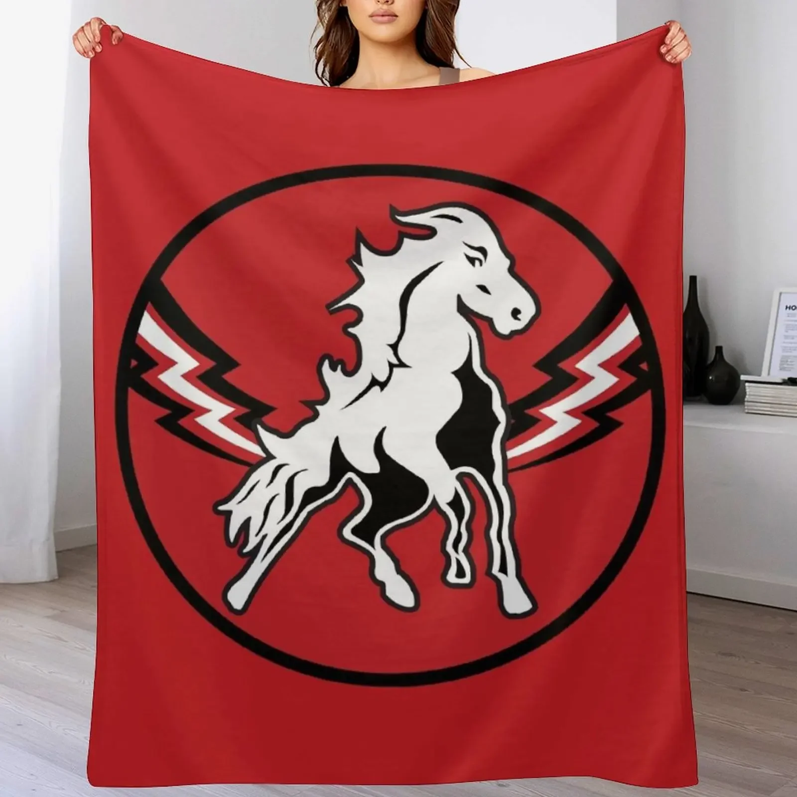 

HC Vita Hsten Throw Blanket Bed covers heavy to sleep Fashion Sofas Luxury St Blankets