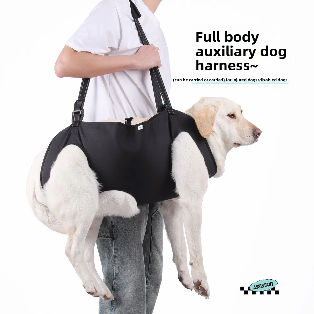 

Adjustable Dog Body Support Dog Lift Harness for Injured Elderly Dogs Assist Rehabilitation Lifting Harness Leashes Disabled Pet