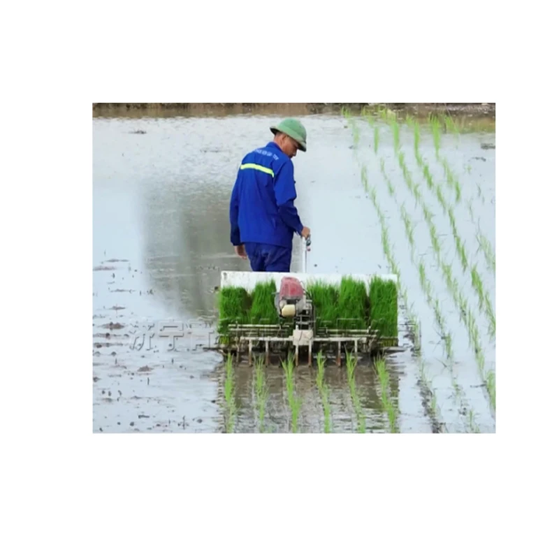 Hand Held Walking Rice Transplanter Paddy Seedling Planter Crop Seedling Transplanter Planting Machine