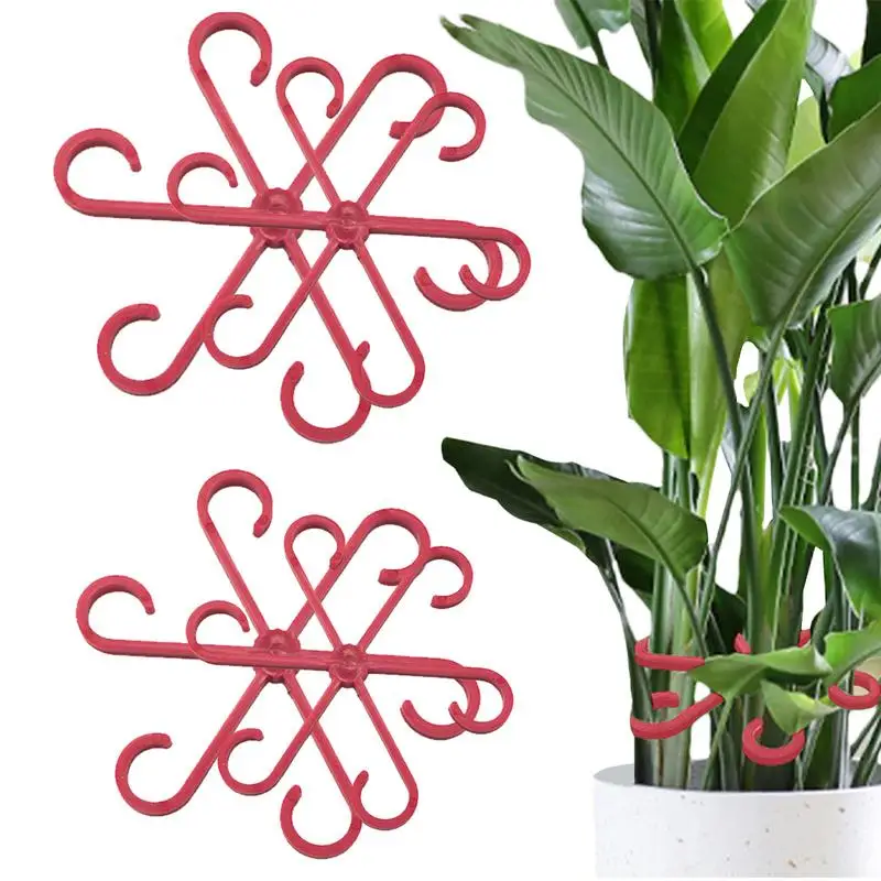 Supporto per stelo Alocasia Monstera Leaf supporta 4 clip di supporto per vite per piante rampicanti per coltivare telaio per stelo vegetale verticale