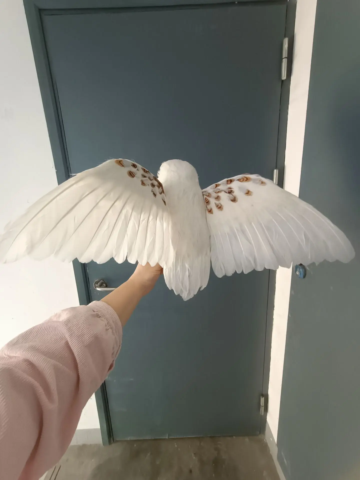 big wings simulation foam&feather owl model home garden decoration gift about 32x60cm d0525