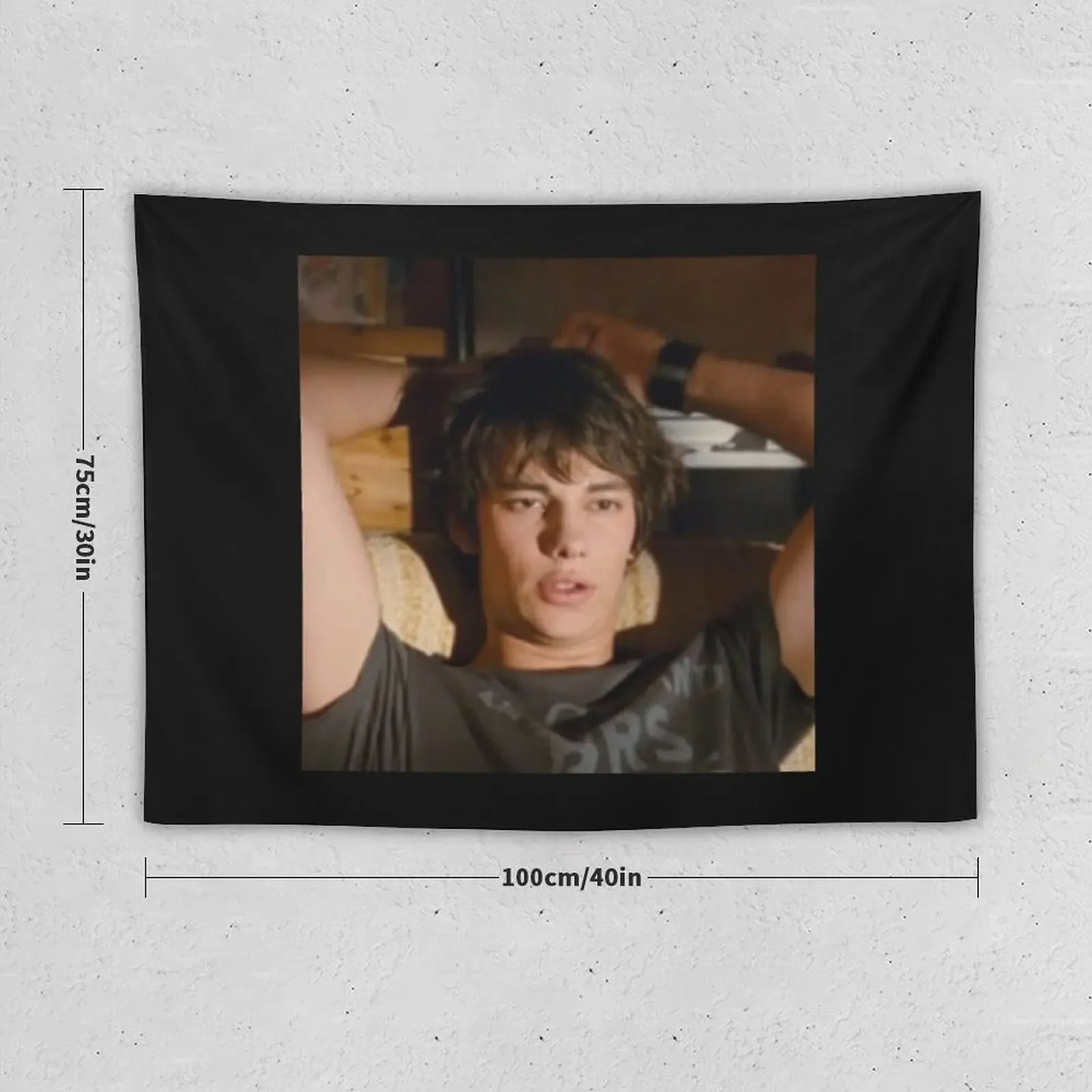 rodrick heffley diary of a wimpy kid Tapestry Aesthetic Room Decorations Decoration For Bedroom Home Decor Aesthetic Tapestry