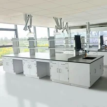 High QUality Laboratory Furniture Steel Center Table Acid Resistant And Anti-Corrosive Laboratory Island Bench