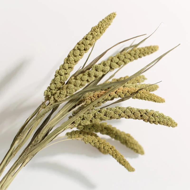 10pcs Dried  Millet Flower Flowers Bouquet for Room Decor Pampas Grass Boho Home Decorations Flowers Decorative Artificial Flora