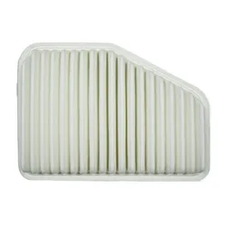 air filter for 2010 Buick Park Avenue 3.0 for PONTIAC G8 V6 V8 2008-2010 OEM: 92066873