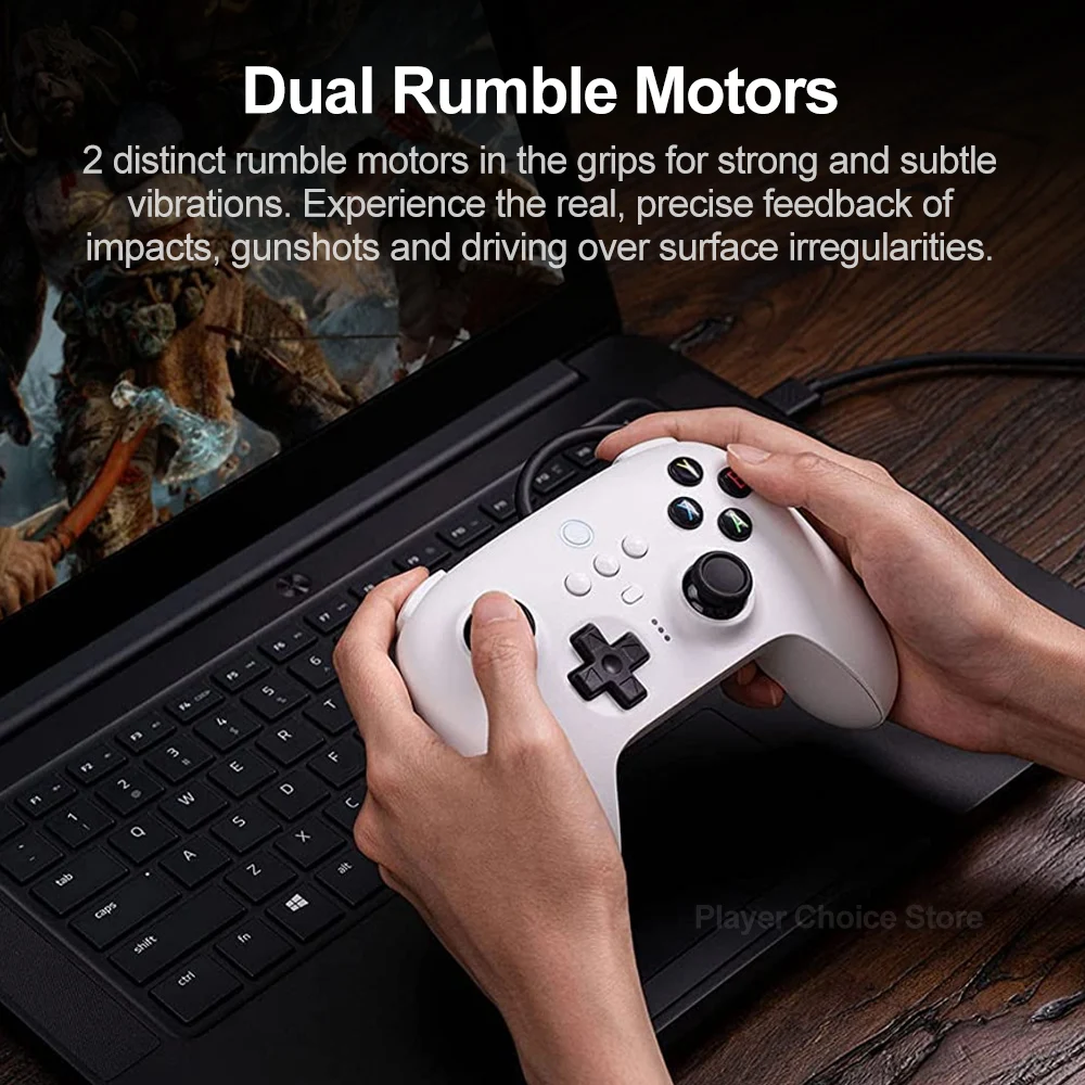 8BitDo Switch Controller Gamepad PC Ultimate Controle per Windows 10 11 Android SteamOS Raspberry Pi Trigger per capelli a vibrazione