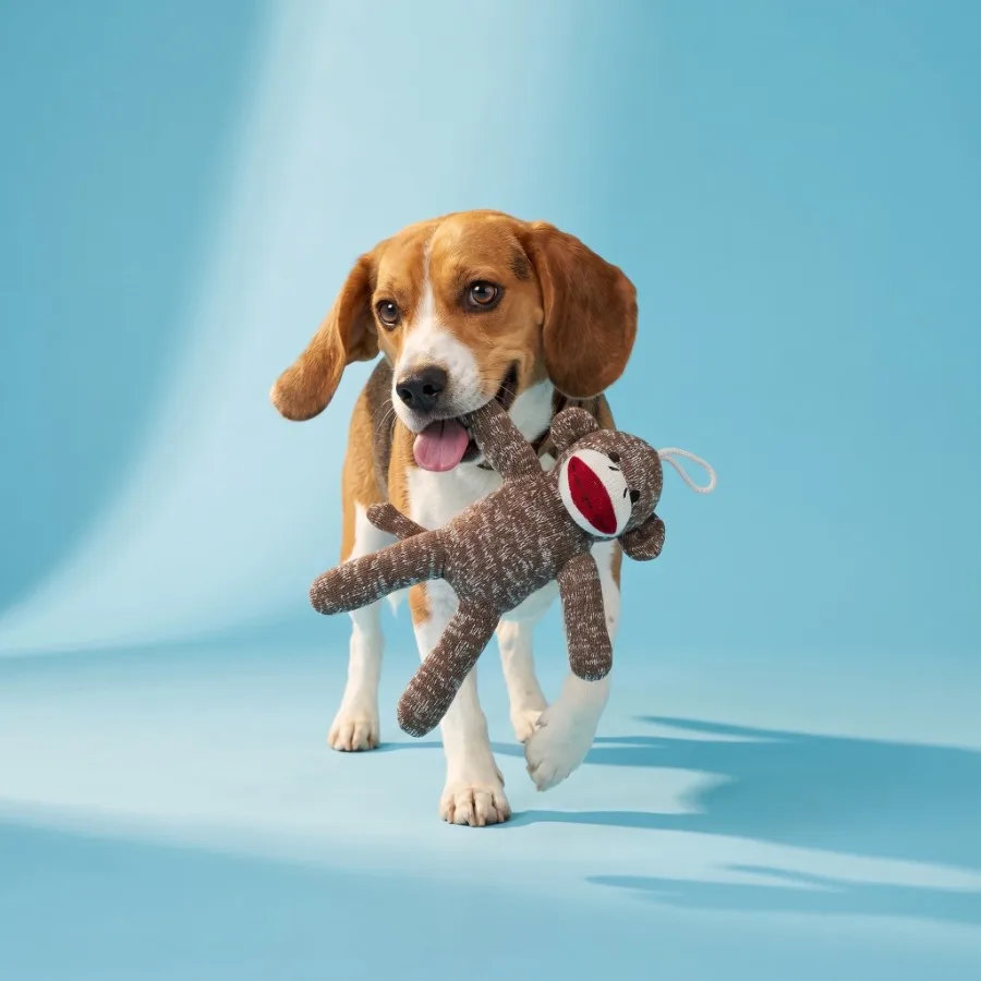 4 pack Brown Sock Monkey Plush Dog Toy with Squeaker, Chew Level 1 view 3