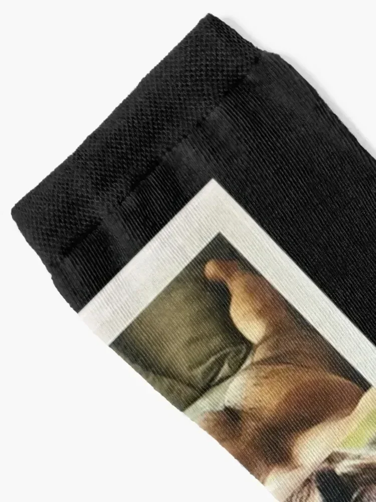 RELAXING BEAR - repurposed, up-cycled photo collage Socks Soccer tennis Toe sports hiphop Men Socks Luxury Brand Women's