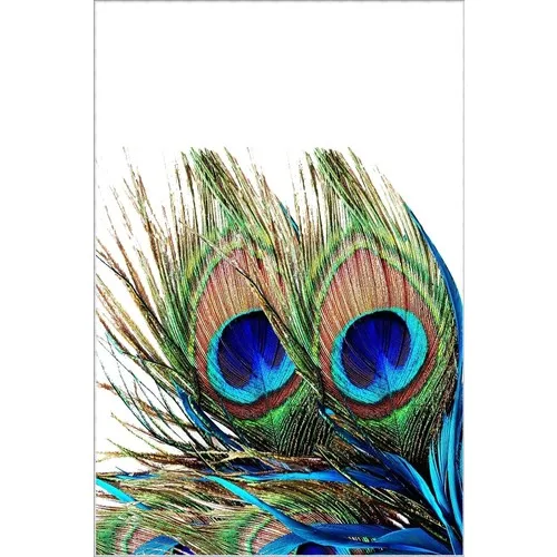 10 Post Online Bath Mat Modern Floral Peacock White Brown Blue Non Slip Cut Washable Thin Rug