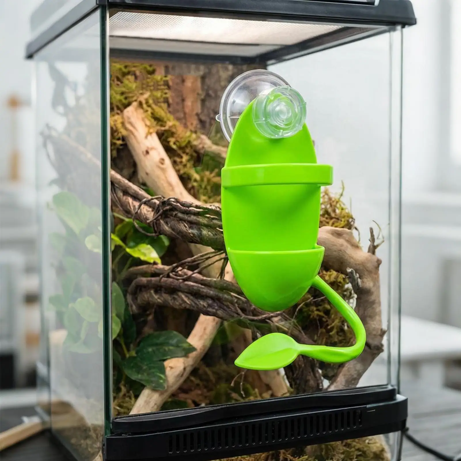 Reptilien-Kletterzweig mit Saugnapf, Hitzebeständiger Sitz, Terrarium-Dekoration für Eidechsen, Frosch- und Gecko-Habitat, Tierfutterplatz – Detail 1