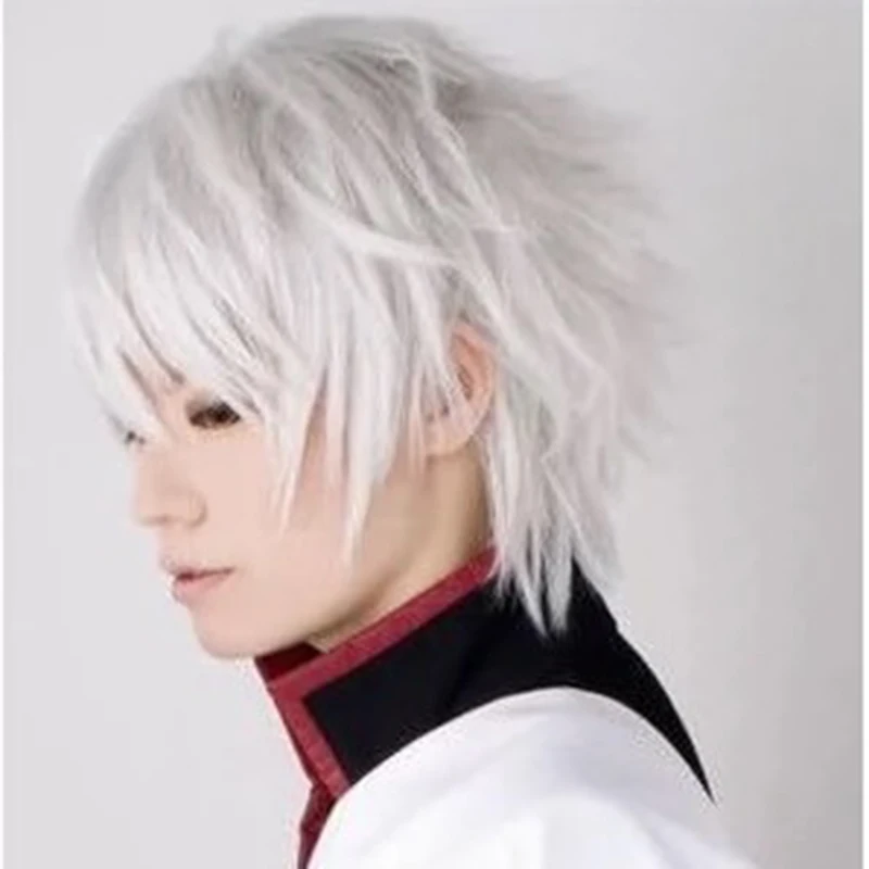 Perruque de cosplay anime, cheveux blancs synthétiques, coiffure unisexe tendance, pour scène, festival, fête, perruque complète en soie haute température