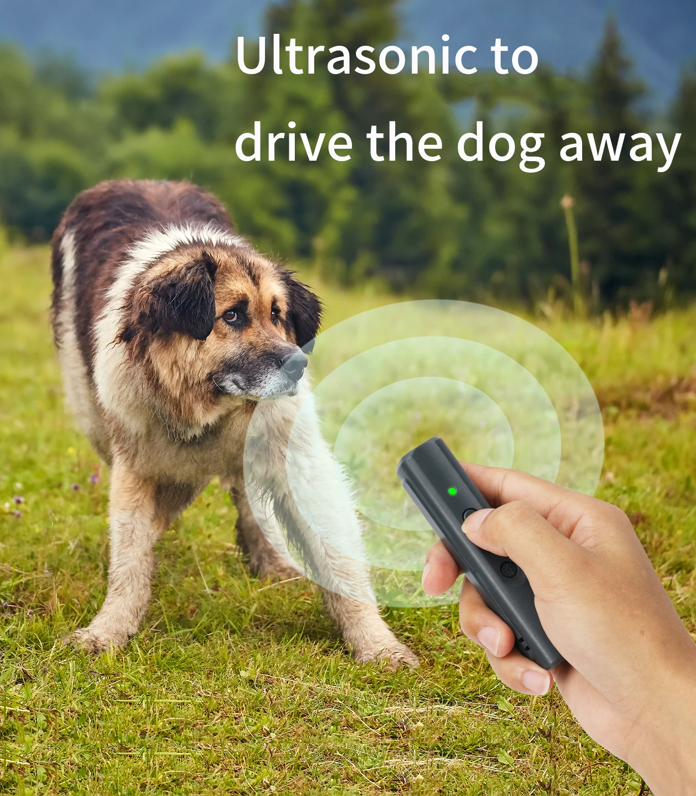 Ultraschall Haustier Hund Katze Repeller Anti Barking Stop Rinde Trainings gerät Adapter Trainer führte Ultraschall mit Taschenlampe Repellent – Detail 24