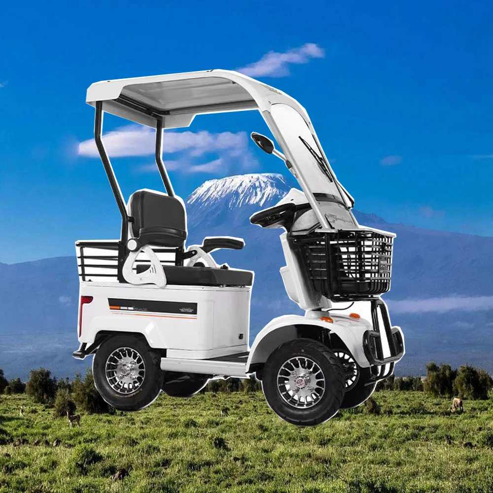 Carrello da Golf e Scooter a doppio scopo prezzo competitivo con batteria al litio 60V 35ah vendita calda carrelli da golf elettrici elettrici