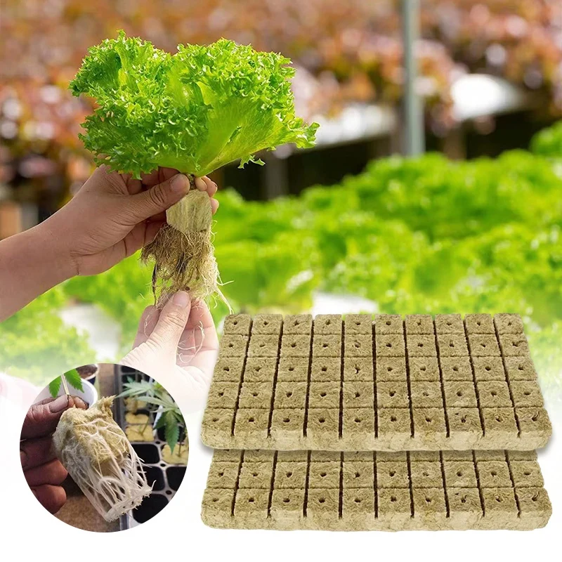 50/100/150pcs Sponge Seed Starter Rock Wool Soilless Culture Fruits Vegetables Greenhouse Supplies Garden Seed Starters