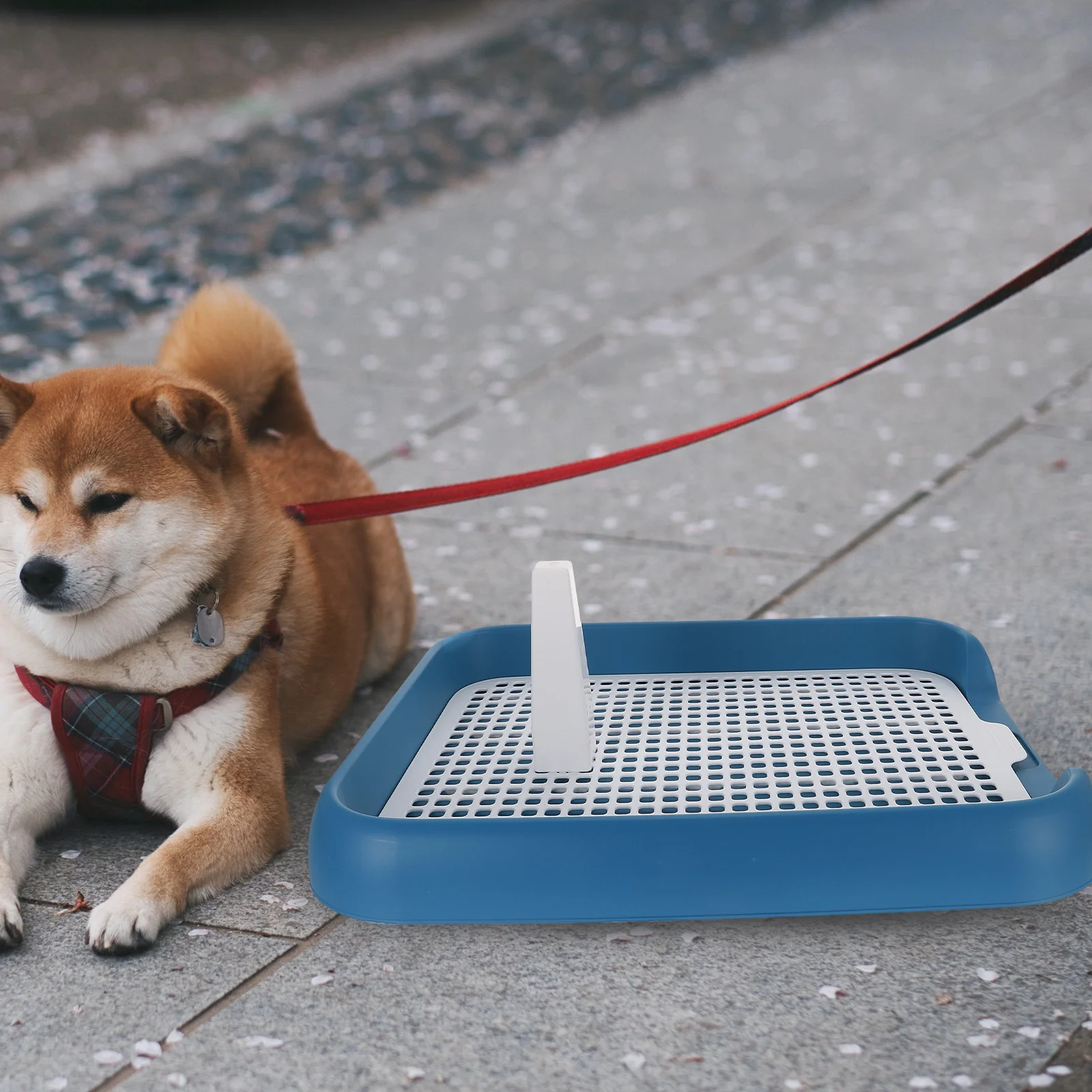 

Dog Toilet Indoor Pet Holder Pad Urine Column for Dogs Potty Pp Small Station Puppy