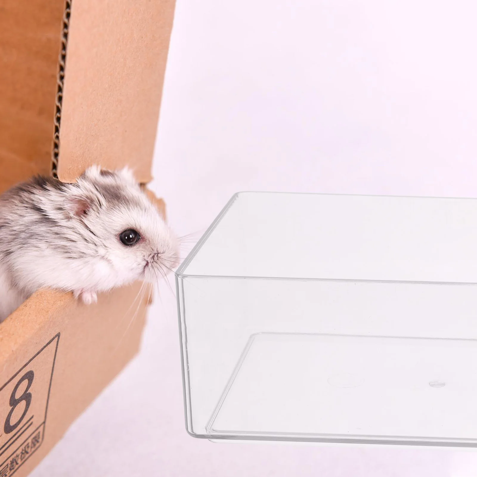 

Small Sand Bath Box For Hamsters Acrylic Transparent Lightweight Pet Bathtub Easy Clean Reusable Chinchilla Bathroom Cage