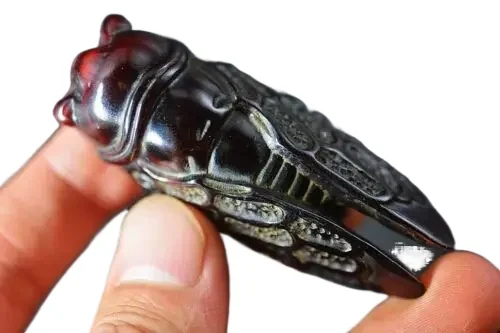 Collection Chinese Ox Horn Carved *Cicada* Pendant