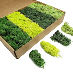 100/200g Artificial Green Plants Eternal Life Moss Grass Home Living Room Garden Decoration Landscape Fake Flower DIY Crafts