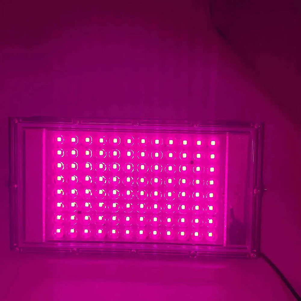 USB switch Led Grow Light Plant Hydroponic Lamp LED Full Spectrum For Greenhouse Seeds Flower Hydroponic Plant Growth Lighting