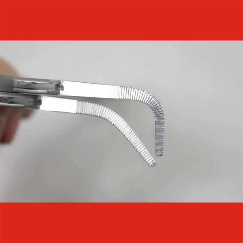 

Медицинские щипцы для разделения и связок. Пятизубные прямоугольные щипцы для сосудистых судин. Гемостаз живота. Маленькое увеличение. Тонкий изогнутый он.