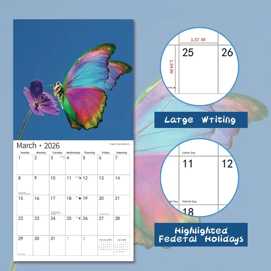 Calendario da parete 2026 Calendario 2026 luglio 2025 dicembre 2026 Calendario da parete Farfalla 12" x 24" Aperto Completo e mesi Spessore e robusto