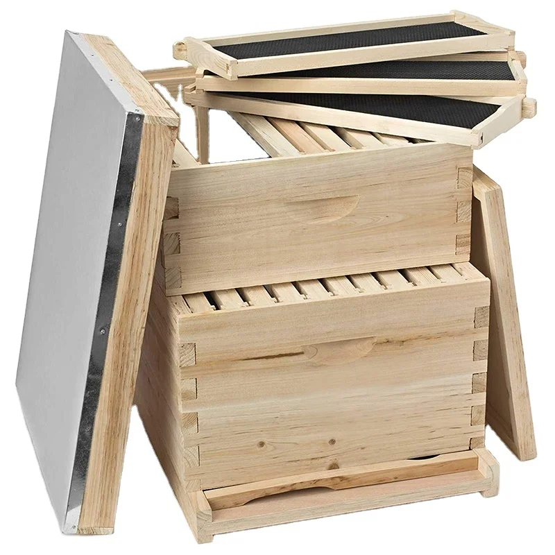 

Bee Standard in Beehive Ten Frames Seven Frames Honeycomb Full Set Framed Beekeeping Tools Drying Fir Bee Box