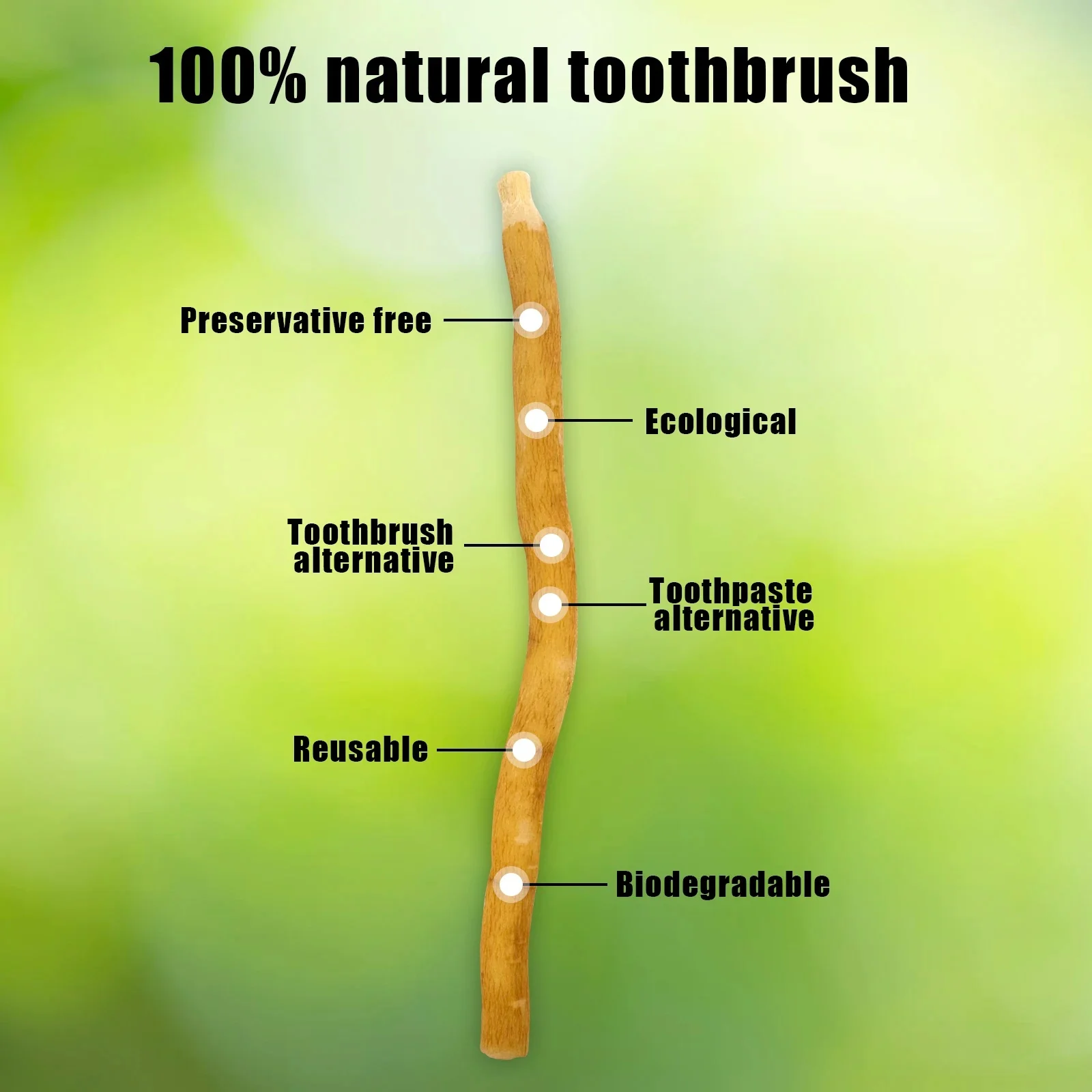 Zähne Stick Zweig Zahnbürste Antike Methode der Reinigung der Zähne, Original authentische arabische Pflanzen Zahnbürste. – Detail 2