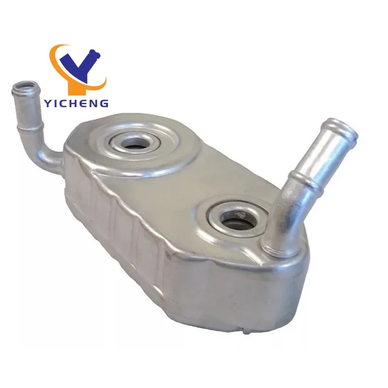 

096409061E Радиатор масляного радиатора для Seat Alhambra Volkswagen EuroVan Cabrio Passat 2.8L 2.0L 096409061 096409061C